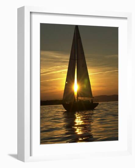 A Sailboat Heads Back to its Mooring-null-Framed Photographic Print