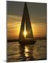 A Sailboat Heads Back to its Mooring-null-Mounted Photographic Print