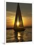 A Sailboat Heads Back to its Mooring-null-Framed Photographic Print