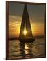 A Sailboat Heads Back to its Mooring-null-Framed Photographic Print