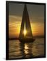 A Sailboat Heads Back to its Mooring-null-Framed Photographic Print