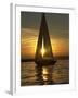 A Sailboat Heads Back to its Mooring-null-Framed Photographic Print