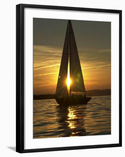 A Sailboat Heads Back to its Mooring-null-Framed Photographic Print