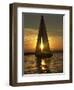 A Sailboat Heads Back to its Mooring-null-Framed Photographic Print