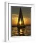 A Sailboat Heads Back to its Mooring-null-Framed Photographic Print