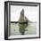 A Sailboat on the Sund, Denmark-Leon, Levy et Fils-Framed Photographic Print