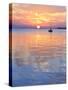 A Sailboat Silhouetted against a Brilliant Sunset in a Cove off Pensacola Bay, Florida-Colin D Young-Stretched Canvas