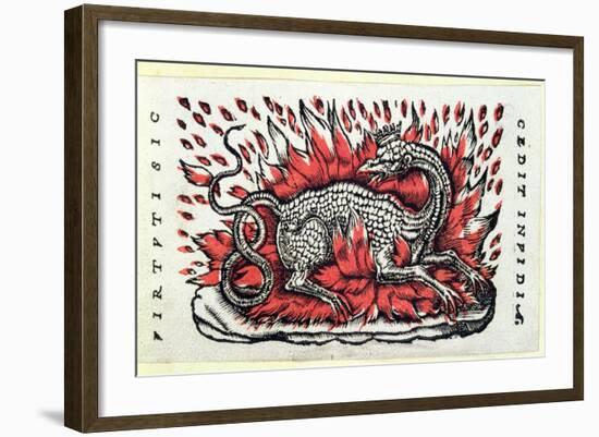 A Salamander, 1st Half 16th Century-French School-Framed Giclee Print