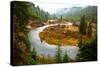 A Salmon River S-Bends Through Central Idaho on a Rainy Autumn Day-Ben Herndon-Stretched Canvas