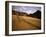 A Sand Avalanche after a Rainstorm in the Sahara Desert, Algeria, North Africa, Africa-Geoff Renner-Framed Photographic Print