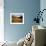 A Sand Avalanche after a Rainstorm in the Sahara Desert, Algeria, North Africa, Africa-Geoff Renner-Framed Photographic Print displayed on a wall