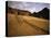 A Sand Avalanche after a Rainstorm in the Sahara Desert, Algeria, North Africa, Africa-Geoff Renner-Stretched Canvas