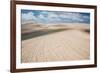 A Sand Dune and Lagoon in Brazil's Lencois Maranhenses National Park-Alex Saberi-Framed Photographic Print