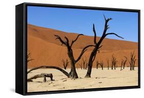 A Sand Dune in the Desert, Namibia, Africa-Apollofoto-Framed Stretched Canvas