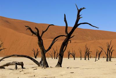 https://imgc.allpostersimages.com/img/posters/a-sand-dune-in-the-desert-namibia-africa_u-L-Q104KVI0.jpg?artPerspective=n