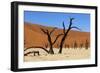 A Sand Dune in the Desert, Namibia, Africa-Apollofoto-Framed Photographic Print