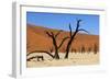 A Sand Dune in the Desert, Namibia, Africa-Apollofoto-Framed Photographic Print