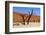 A Sand Dune in the Desert, Namibia, Africa-Apollofoto-Framed Photographic Print