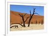 A Sand Dune in the Desert, Namibia, Africa-Apollofoto-Framed Photographic Print