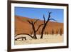 A Sand Dune in the Desert, Namibia, Africa-Apollofoto-Framed Photographic Print