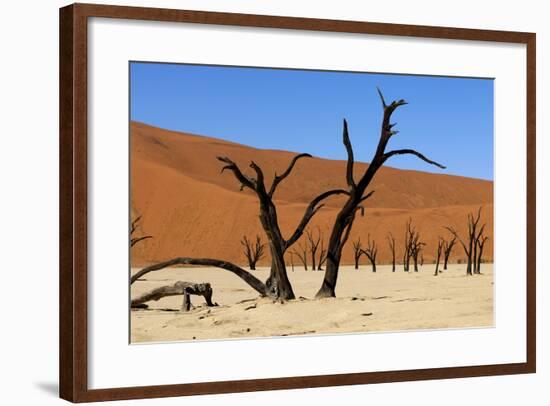 A Sand Dune in the Desert, Namibia, Africa-Apollofoto-Framed Photographic Print