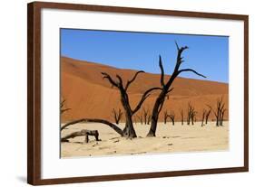 A Sand Dune in the Desert, Namibia, Africa-Apollofoto-Framed Photographic Print