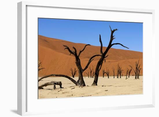 A Sand Dune in the Desert, Namibia, Africa-Apollofoto-Framed Photographic Print