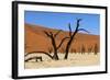 A Sand Dune in the Desert, Namibia, Africa-Apollofoto-Framed Photographic Print