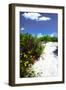 A Sandy Pathway I-Alan Hausenflock-Framed Photographic Print