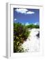 A Sandy Pathway I-Alan Hausenflock-Framed Photographic Print