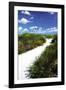 A Sandy Pathway II-Alan Hausenflock-Framed Photographic Print