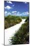 A Sandy Pathway II-Alan Hausenflock-Mounted Photographic Print