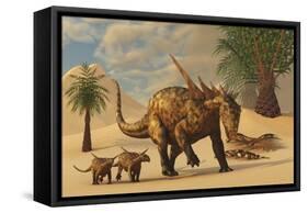 A Sauropelta Mother Leads Her Offspring in a Desert Area of North America-Stocktrek Images-Framed Stretched Canvas