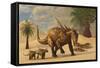 A Sauropelta Mother Leads Her Offspring in a Desert Area of North America-Stocktrek Images-Framed Stretched Canvas