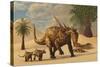 A Sauropelta Mother Leads Her Offspring in a Desert Area of North America-Stocktrek Images-Stretched Canvas