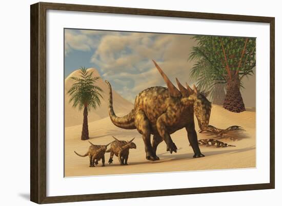 A Sauropelta Mother Leads Her Offspring in a Desert Area of North America-Stocktrek Images-Framed Art Print