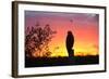 A Savanna Hawk, Buteogallus Meridionalis, Perching on a Fence Post-Alex Saberi-Framed Premium Photographic Print