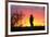 A Savanna Hawk, Buteogallus Meridionalis, Perching on a Fence Post-Alex Saberi-Framed Photographic Print