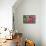 A Saw-Billed Hermit Bird Feeds from a Red Ginger Plant Flower in the Atlantic Rainforest-Alex Saberi-Mounted Photographic Print displayed on a wall