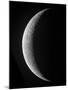 A Saxing Crescent Moon in High Resolution-Stocktrek Images-Mounted Photographic Print