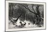A Scandinavian Forest in Winter-null-Mounted Giclee Print