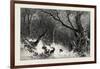 A Scandinavian Forest in Winter-null-Framed Giclee Print