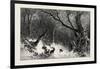 A Scandinavian Forest in Winter-null-Framed Giclee Print