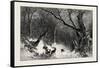 A Scandinavian Forest in Winter-null-Framed Stretched Canvas