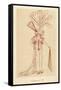 A Scarecrow, 1793-John Ashton-Framed Stretched Canvas