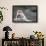 A Scared Barbary Macaque Baby Protected by the Mother-Joe Petersburger-Framed Photographic Print displayed on a wall