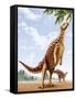 A Scelidosaurus Standing on its Hind Legs Eating Conifer Leaves-null-Framed Stretched Canvas