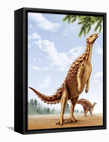 A Scelidosaurus Standing on its Hind Legs Eating Conifer Leaves-null-Framed Stretched Canvas