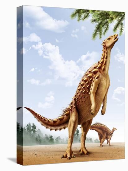 A Scelidosaurus Standing on its Hind Legs Eating Conifer Leaves-null-Stretched Canvas