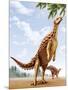 A Scelidosaurus Standing on its Hind Legs Eating Conifer Leaves-null-Mounted Art Print